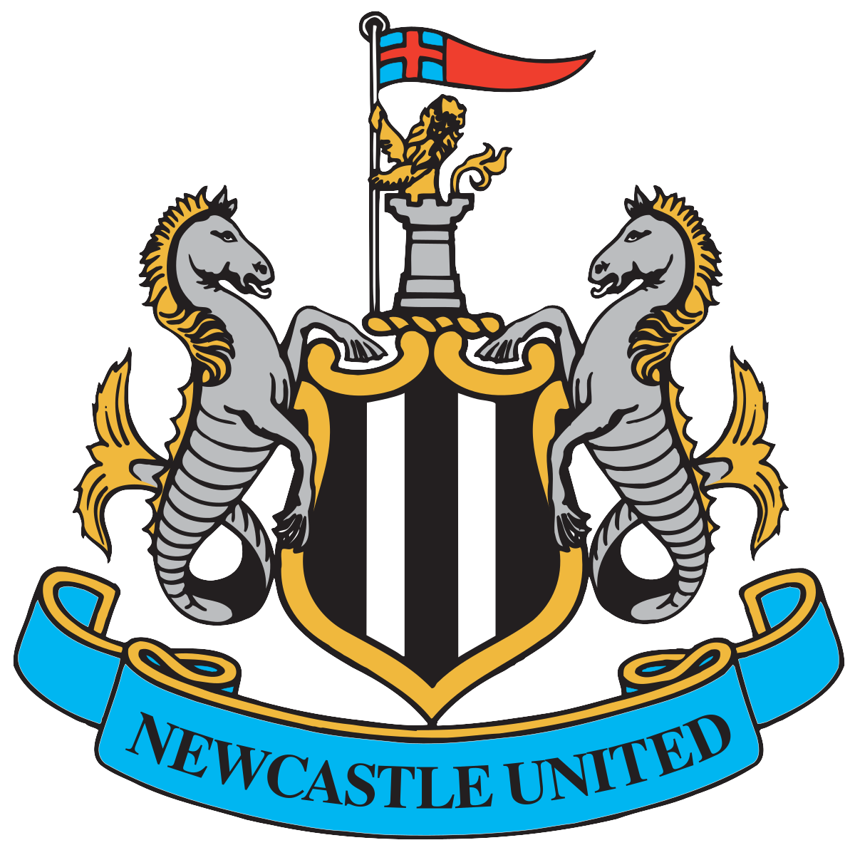 Newcastle FC